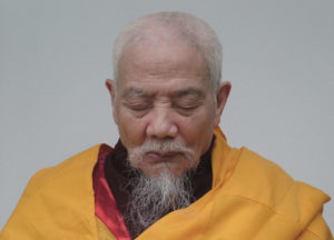 A photo of Elder Monk Yin Hai taken some years ago.