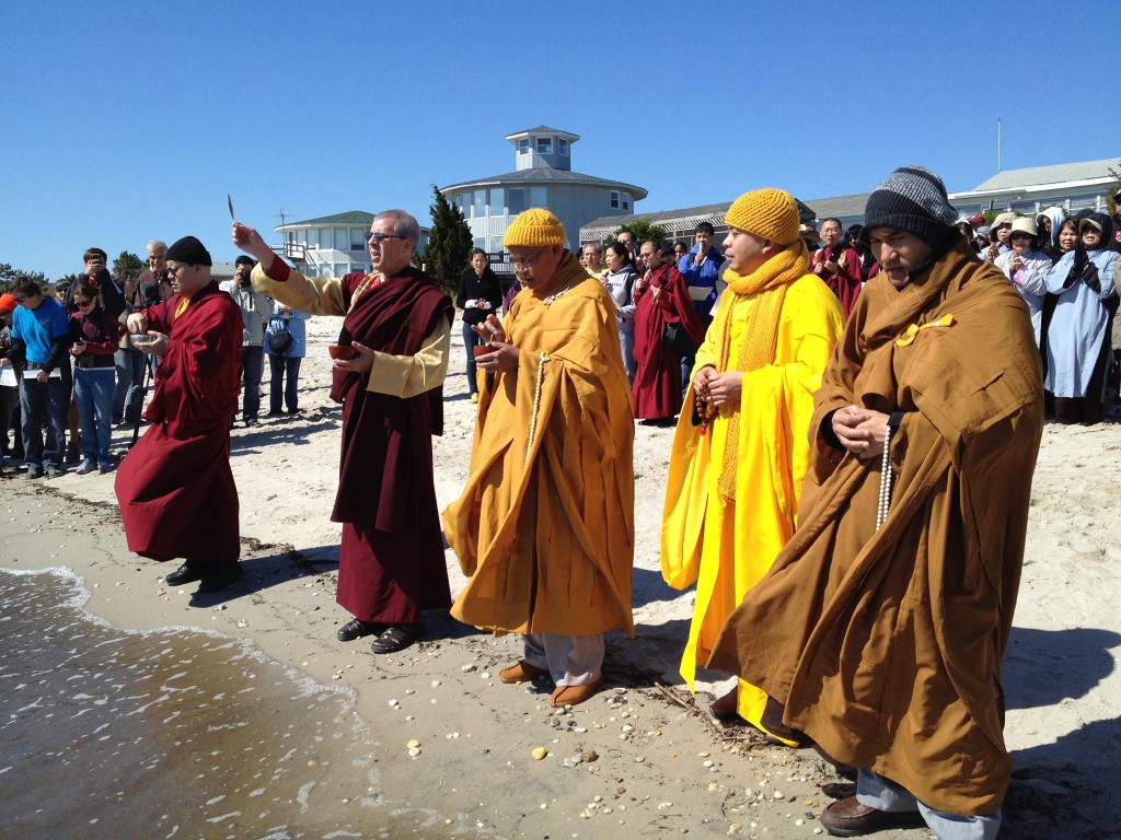 Horseshoe Crab Rescue and Blessing Ceremony, 2013