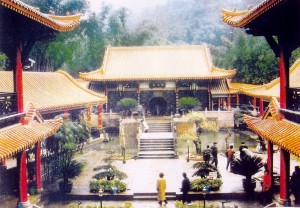 Master Wan Ko Yee Museum in Sichuan, China