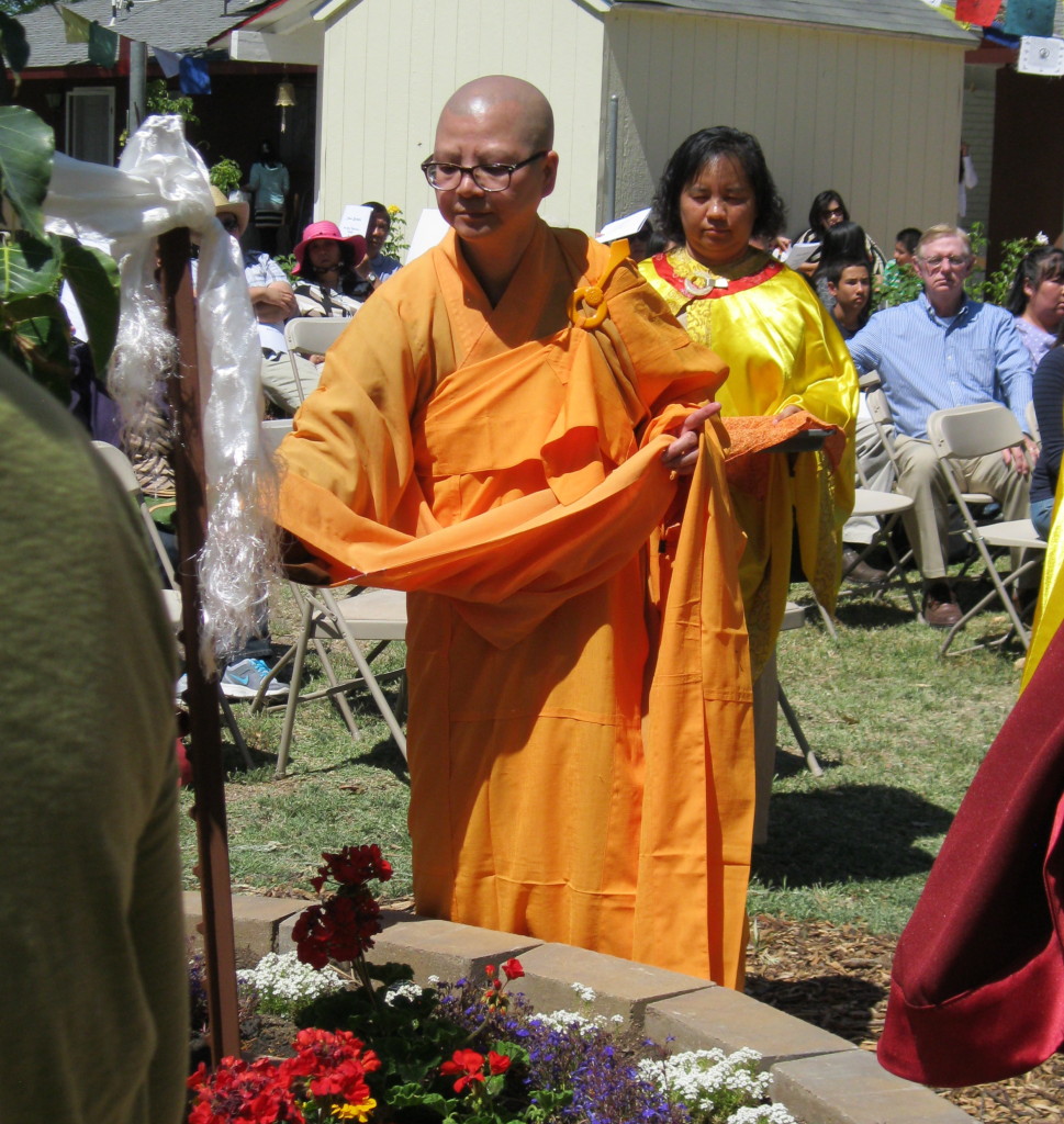 Ruo Fan Shih, a nun from Hua Zang Si (a temple in San Francisco, California), pours water offering on the Bodhi Tree