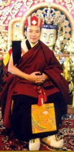 H.E. Tai Situ Rinpoche XII  (954-- )